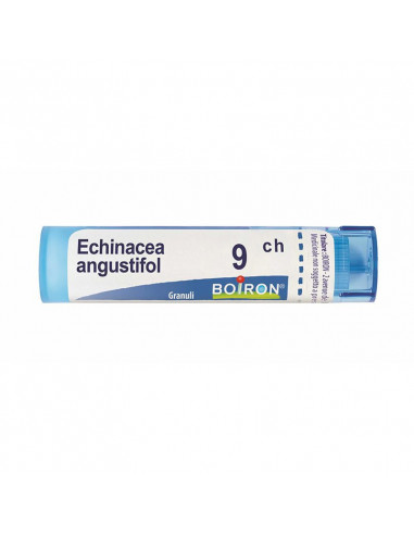 BO.ECHINACEA ANG.9CH TUBO