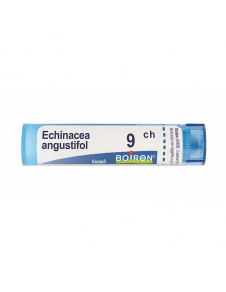 Bo.echinacea ang.9ch tubo