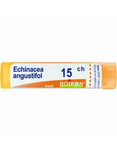 Bo.echinacea angust 15ch gr