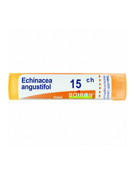 Bo.echinacea angust 15ch gr