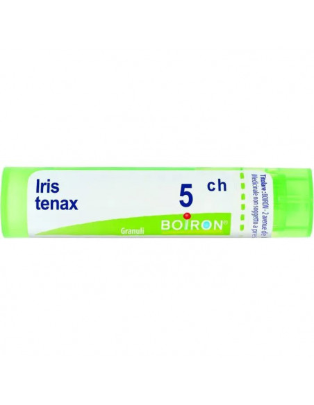 Bo.iris tenax 5ch tubo