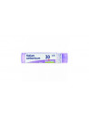 Bo.kalium carbonicum*30ch 80gr