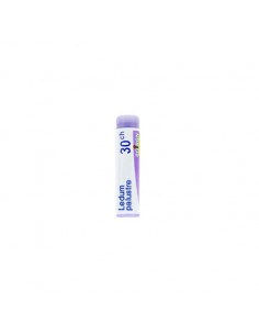 Bo.ledum palustr 30ch dose