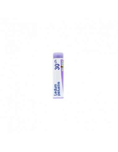BO.LEDUM PALUSTR 30CH DOSE