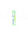 Bo.phosphorus 5ch tubo