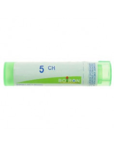 Bo.magnesia phosphorica*5ch 80