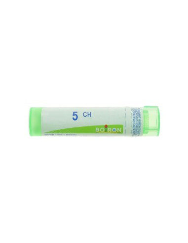 BO.MAGNESIA PHOSPHORICA*5CH 80