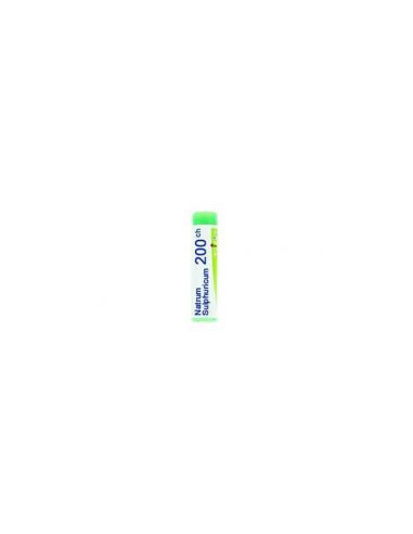 BO.NATRUM SULF*200CH 80GR4G