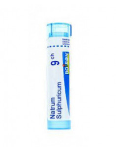 Bo.natrum sulfuric*9ch 80gr 4g