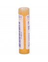 Bo.nux vomica*15ch 80gr 4g