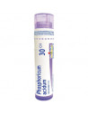 Bo.phosphoricum ac 30ch gr