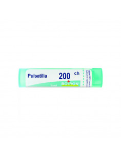 Bo.pulsatilla*200k 80gr 4g