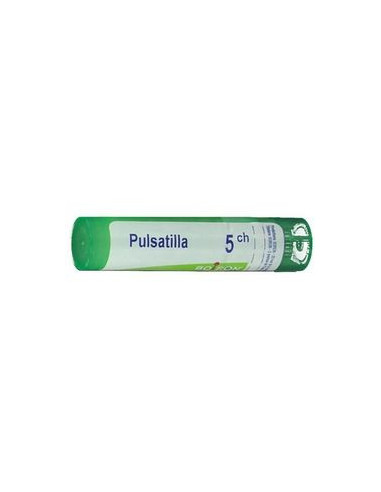 BO.PULSATILLA*5CH 80GR 4G