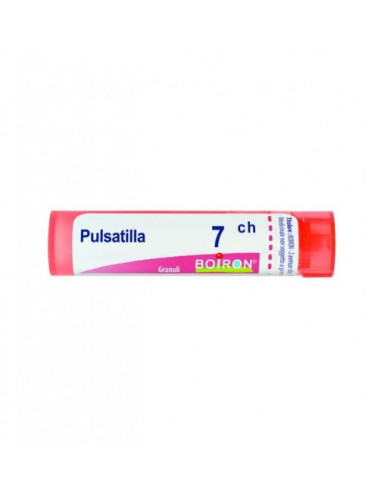 Bo.pulsatilla*7ch 80gr 4g