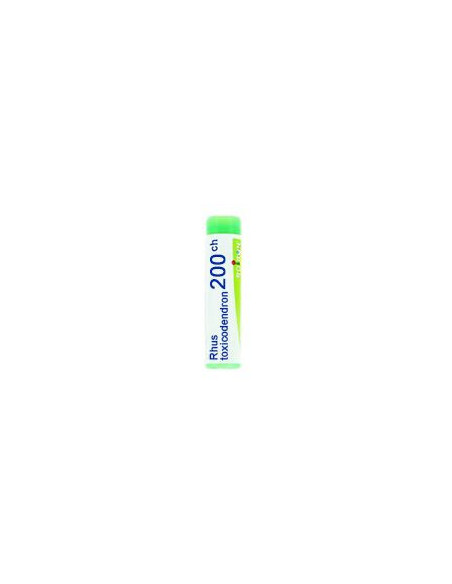 Bo.rhus tox *200ch dose 1g
