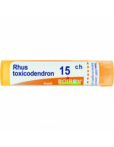 BO.RHUS TOX*15CH 80GR4G