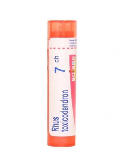 Bo.rhus tox*7ch 80gr 4g
