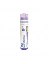 Bo.rhus toxicodend*30ch 80gr4g