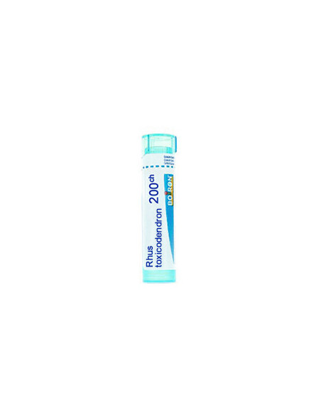 Bo.rhus toxicodendron*200ch 80