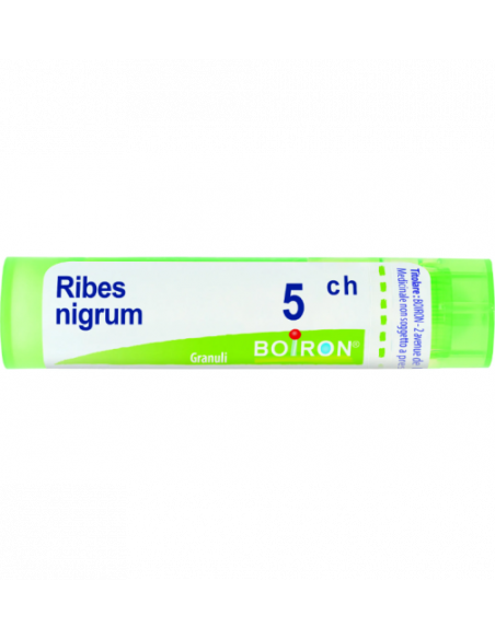 Bo.ribes nigr.5ch tubo