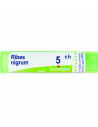Bo.ribes nigr.5ch tubo