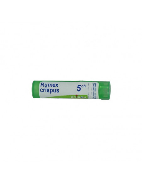 Bo.rumex crispus 5ch tubo