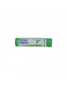Bo.rumex crispus 5ch tubo