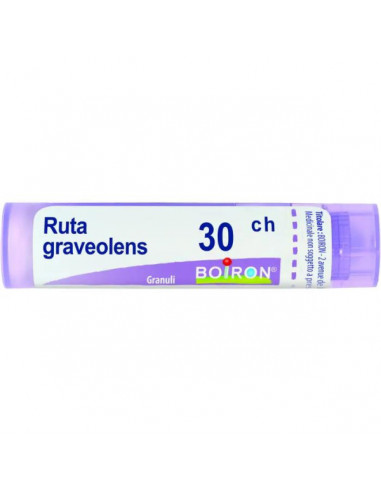 Bo.ruta graveolens*30ch 80gr 4