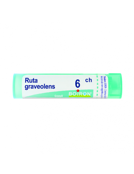 Bo.ruta graveolens*6ch 80gr 4g