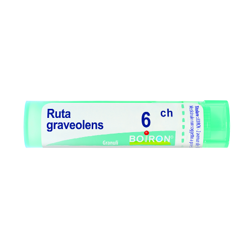 Bo.ruta graveolens*6ch 80gr 4g