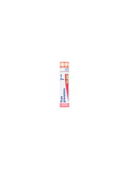 Bo.ruta graveolens*7ch 80gr 4g