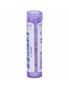 Bo.sambucus nigra*30ch 80gr 4g