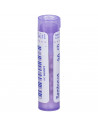 Bo.sambucus nigra*30ch 80gr 4g