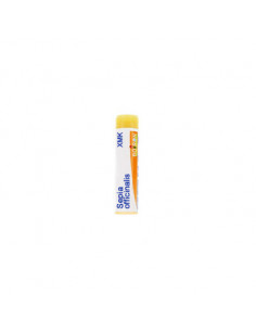 Bo.sepia officinalis  xmk