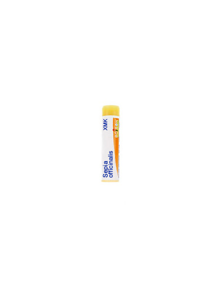 Bo.sepia officinalis  xmk