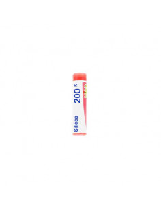 Bo.silicea 200k dose