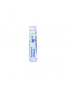 Bo.symphytum offic*30ch 80gr