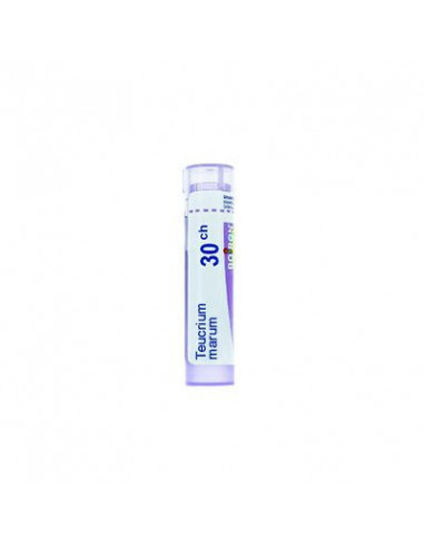 BO.TEUCRIUM MARUM*30CH 80GR 4G
