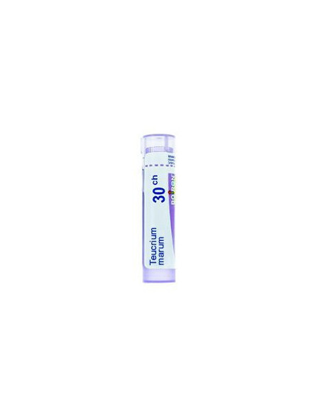 Bo.teucrium marum*30ch 80gr 4g