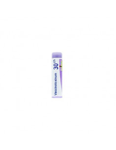 Bo.vaccinotoxinum 30ch dose