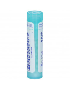 Bryonia*200k 80gr 4g