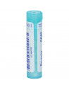 Bryonia*200k 80gr 4g