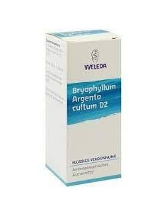 Bryophyllum arg cult d2 1% gt