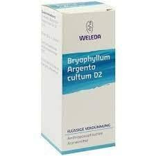 Bryophyllum arg cult d2 1% gt