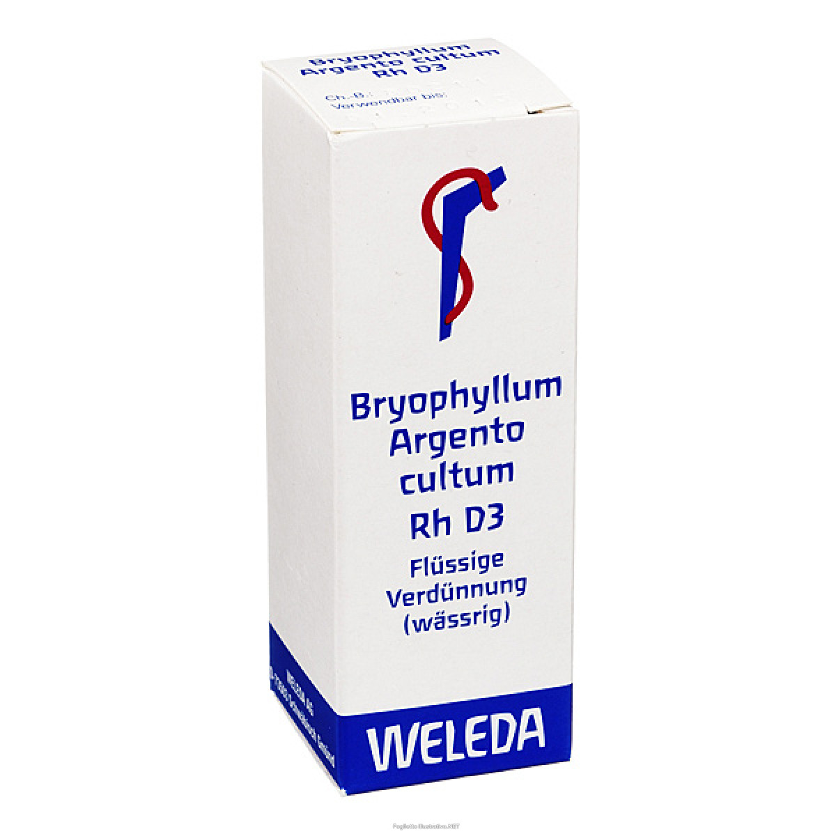 Bryophyllum arg rh d3 20ml gt