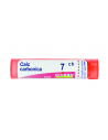 Calcarea carbonica 7ch 80gr