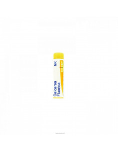 Calcarea fluorica mk gl