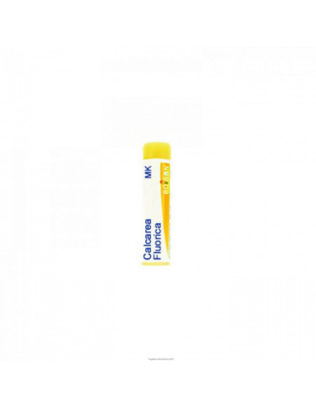 Calcarea fluorica mk gl