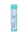 Calcarea phosphorica 200ch80gr