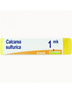 Calcarea sulfur mk gl